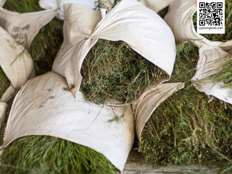 Image showing rooibos tea, the only herbal plant that grows naturally in South Africa within the Fynbos ecosystem, rich in antioxidants and caffeine free, traditionally used by the Khoi San people.