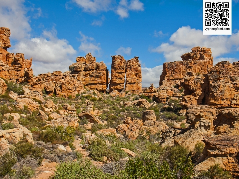 Panoramic view of the Cederberg mountains, showcasing the natural origin of rooibos tea and the heritage linked to African Dawn, a South African rooibos tea brand officially imported to Vietnam.