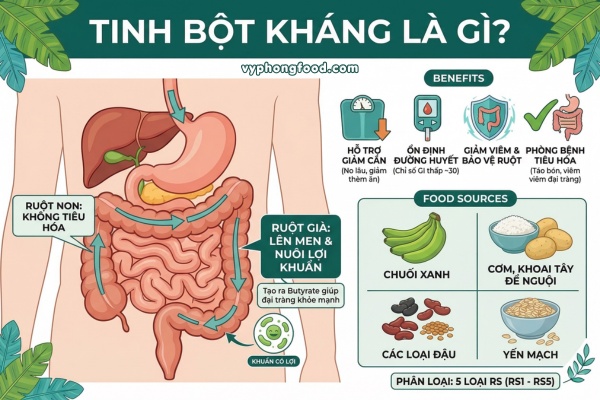 Hình ảnh bột chuối xanh hữu cơ QNA Farm nguyên chất sấy lạnh giàu tinh bột kháng hỗ trợ dạ dày và sức khỏe đường ruột