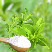 Lợi ích sức khỏe của đường chiết xuất từ cỏ ngọt stevia