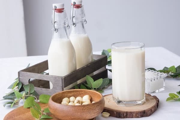 5 công thức làm sữa hạt yến mạch thơm ngon, bổ dưỡng cho cả gia đình