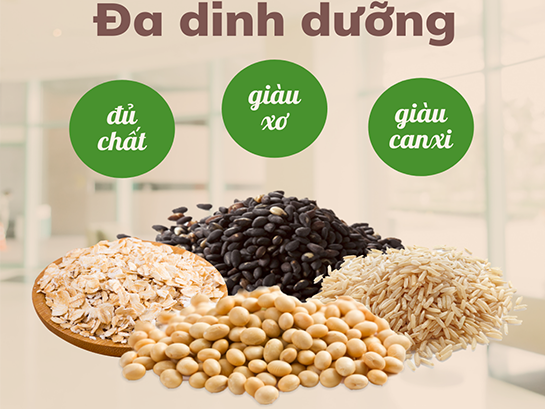 Các cửa hàng nào cung cấp hạt dinh dưỡng giàu chất xơ?
