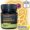Mật ong Manuka 100+ MGO Honeycube (loại 250g) nhập khẩu từ Úc
