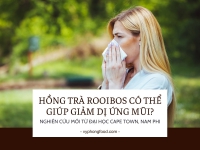 Hồng trà Rooibos và khả năng hỗ trợ giảm dị ứng mũi: Góc nhìn khoa học từ Đại học Cape Town.