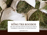 Hồng trà rooibos – Siêu thảo mộc Nam Phi chỉ mọc duy nhất ở Cederberg, vì sao được cả thế giới săn đón?