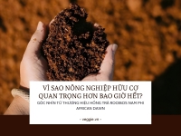 Vì sao nông nghiệp hữu cơ quan trọng hơn bao giờ hết? – Góc nhìn từ thương hiệu hồng trà rooibos Nam Phi African Dawn.