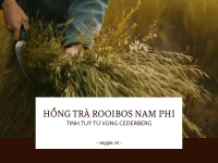 Hồng trà rooibos Nam Phi thương hiệu African Dawn - Tinh túy từ vùng đất Cederberg.