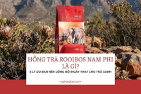 Hồng trà Rooibos Nam Phi là gì? 5 lý do bạn nên uống mỗi ngày thay cho trà xanh.