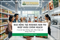 Mua Hồng trà Rooibos Nam Phi nhập khẩu chính ngạch: 3 Lý do bạn không nên thỏa hiệp với hàng xách tay.