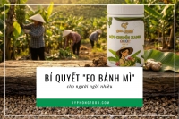 Tuyệt Chiêu Đánh Bay 