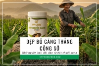 Dẹp bỏ căng thẳng công sở nhờ nguồn kali dồi dào từ bột chuối xanh QNA Farm.
