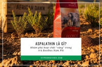 Aspalathin là gì? Khám phá hoạt chất 