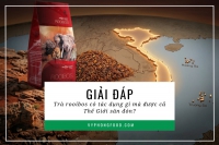 Giải đáp: Trà rooibos có tác dụng gì mà được cả thế giới săn đón?